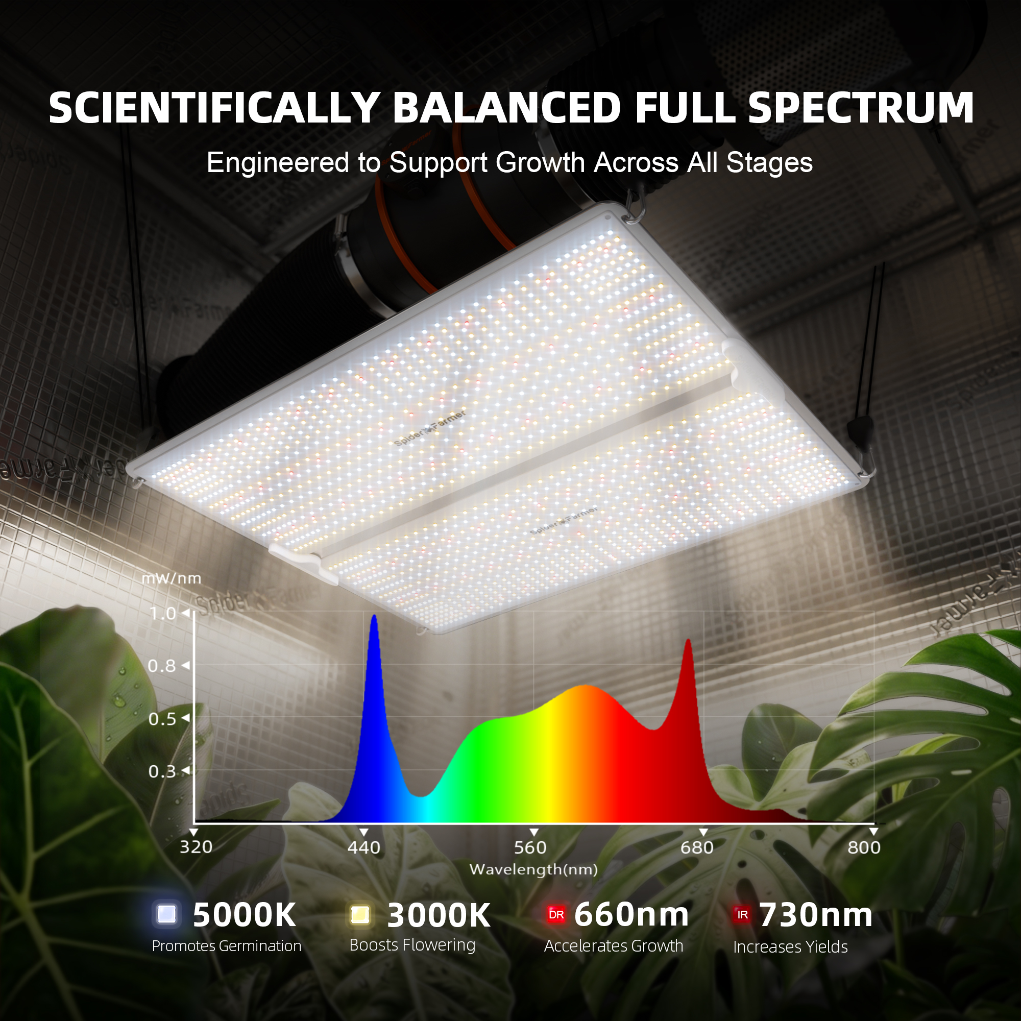 Spider Farmer SF4000 LED 450 Watt