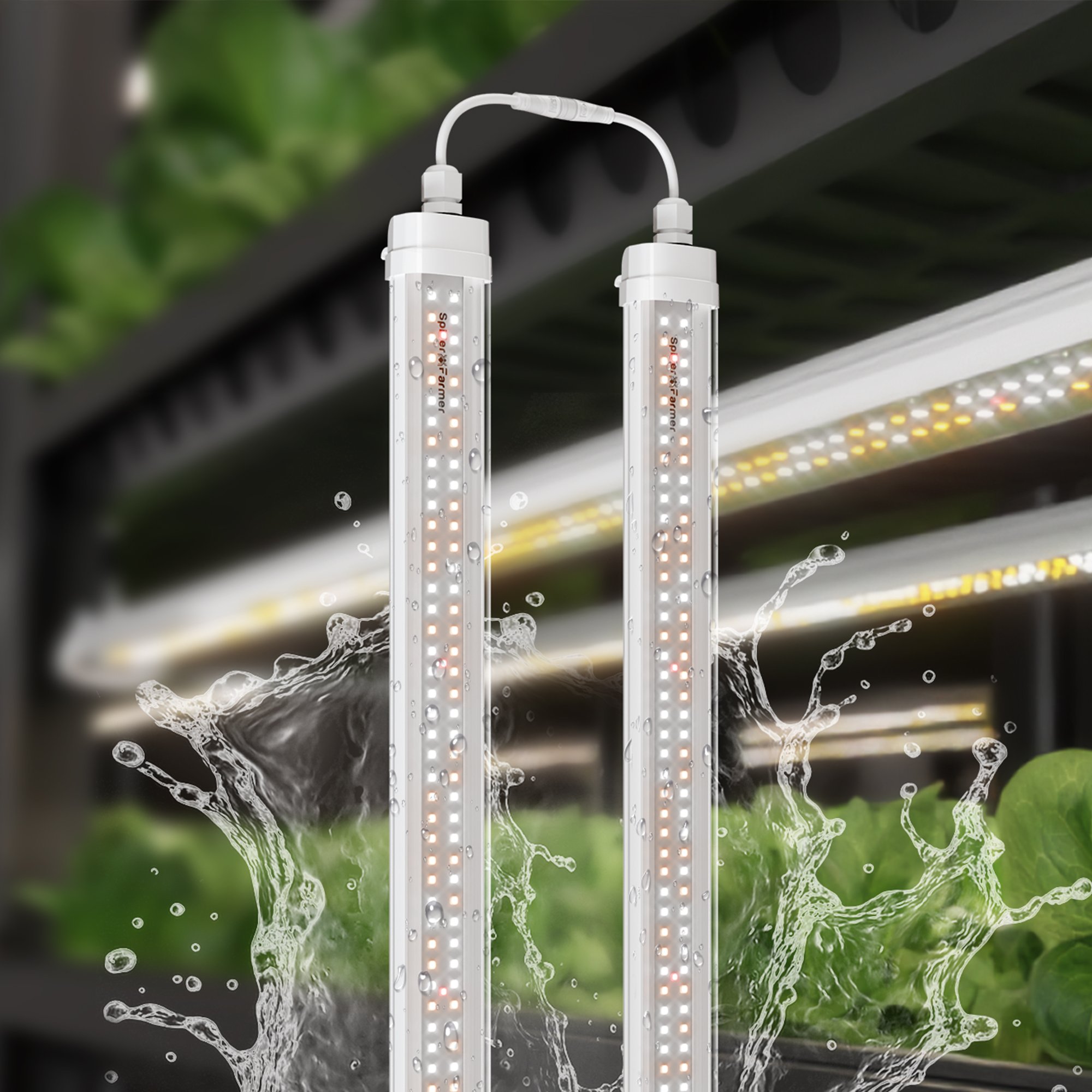 Spider-Farmer-Glow80-LED-Vollspektrum-1