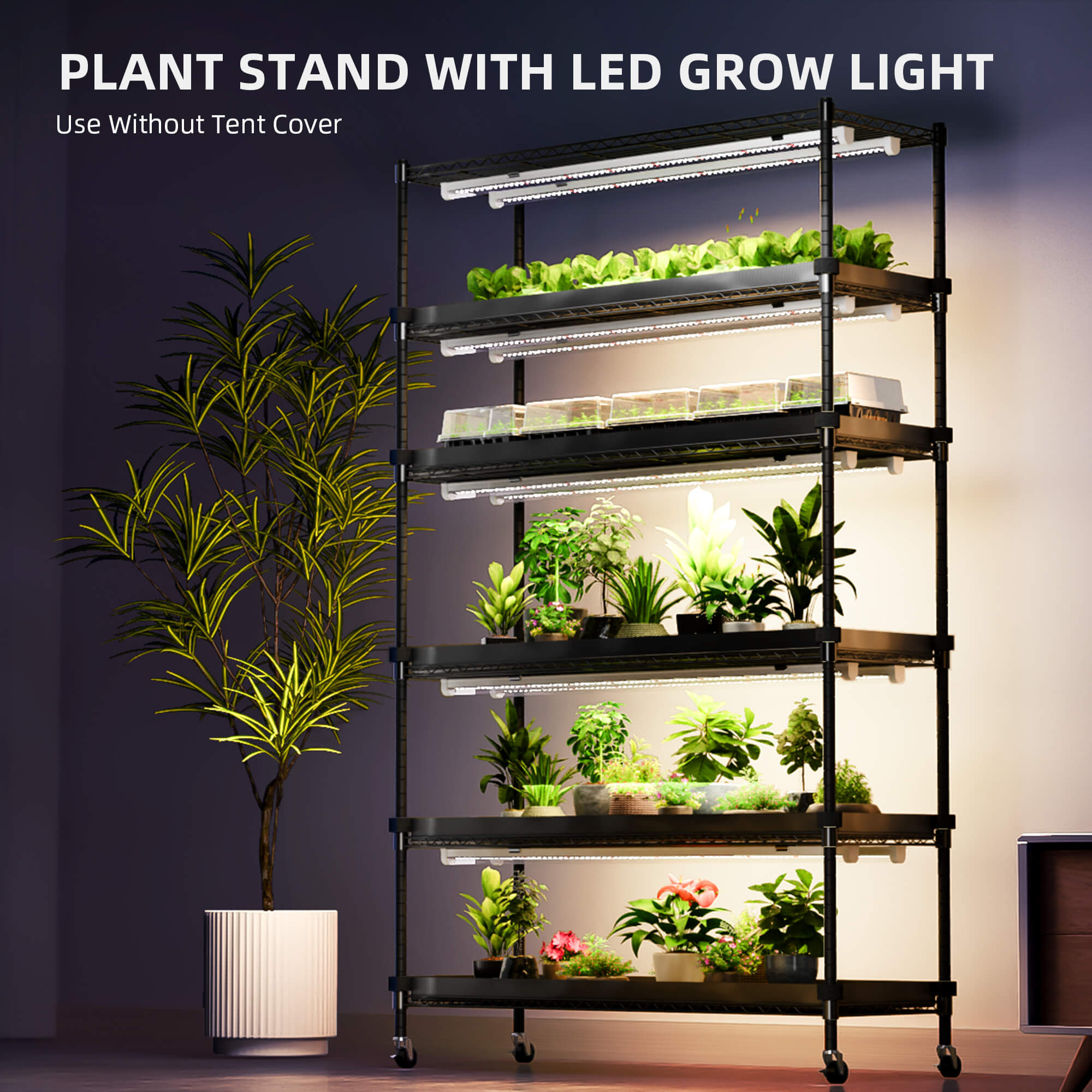 spider-farmer-plant-stand-with-grow-lights-220w-LED-grow-light