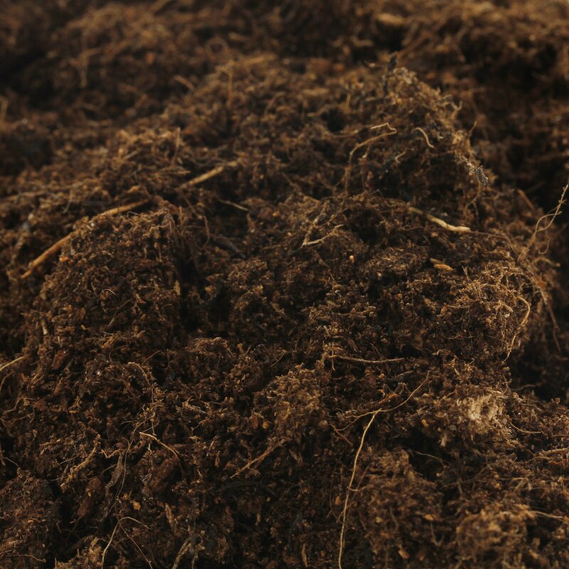 canna-bio-terra-plus-50l~2