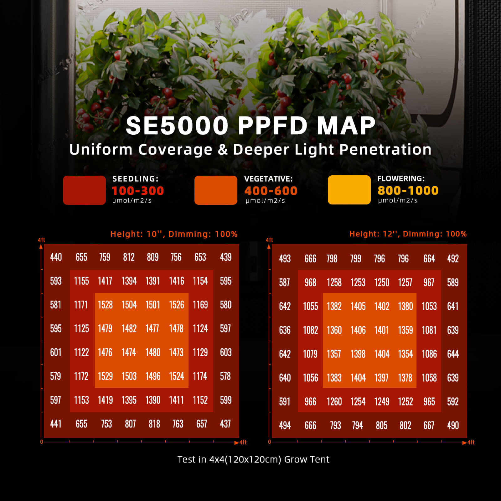 Spider Farmer Komplettset 120×120×200 cm SE5000 EVO mit GGS Controller