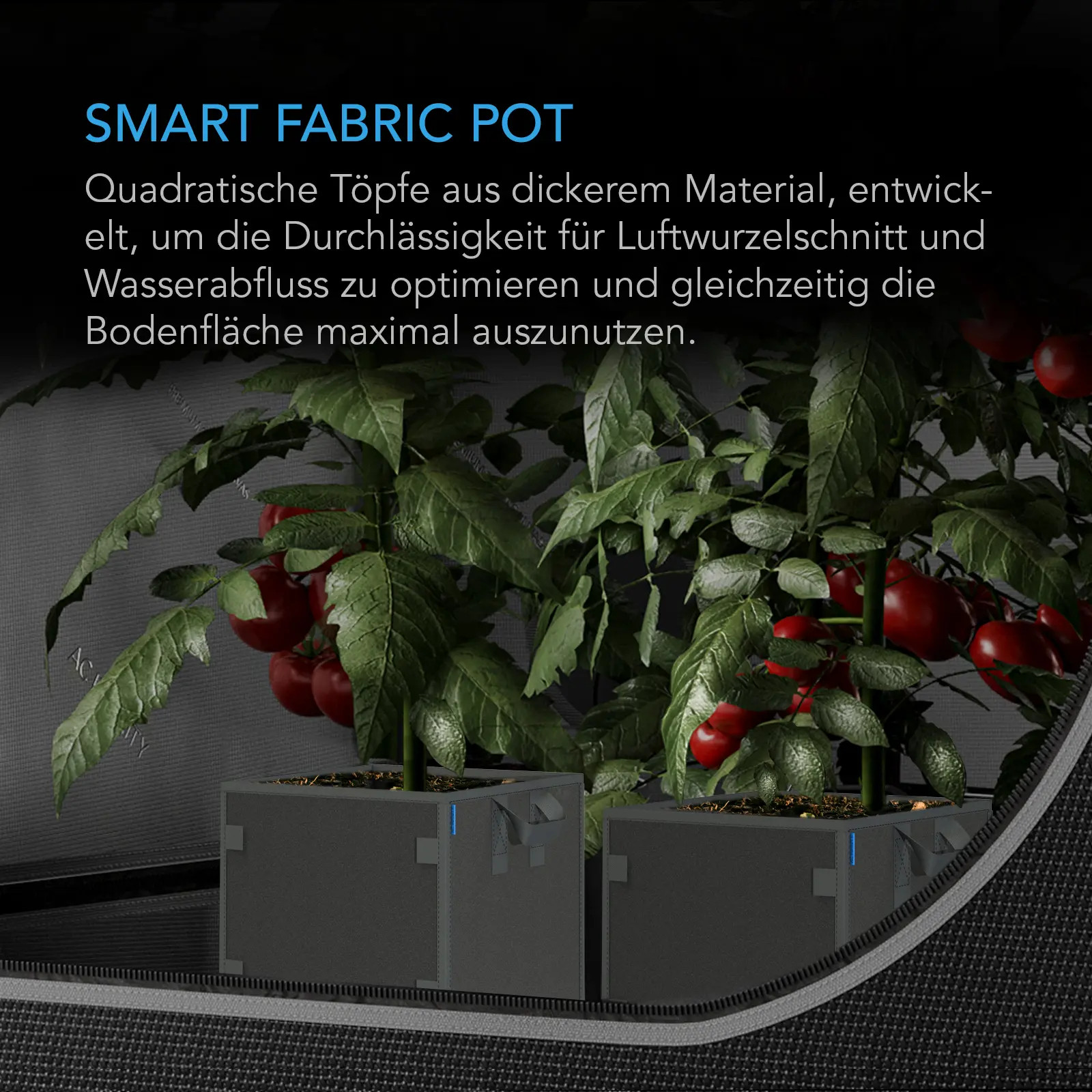 Zwei quadratische AC Infinity Stofftöpfe mit Tomatenpflanzen im Growzelt für optimale Flächennutzung, Wurzelbelüftung und Wasserableitung