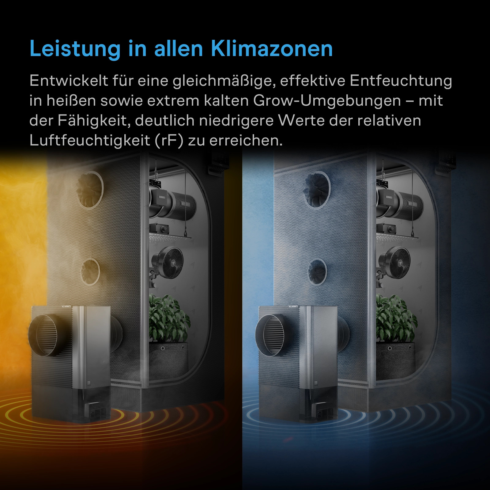 AC Infinity HYDRONE 5 Luftentfeuchter