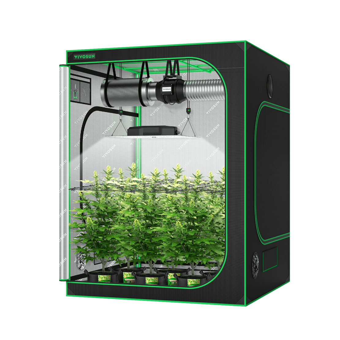 VIVOSUN Standard Growbox Komplettset 150x150x200 cm mit VS4000 LED