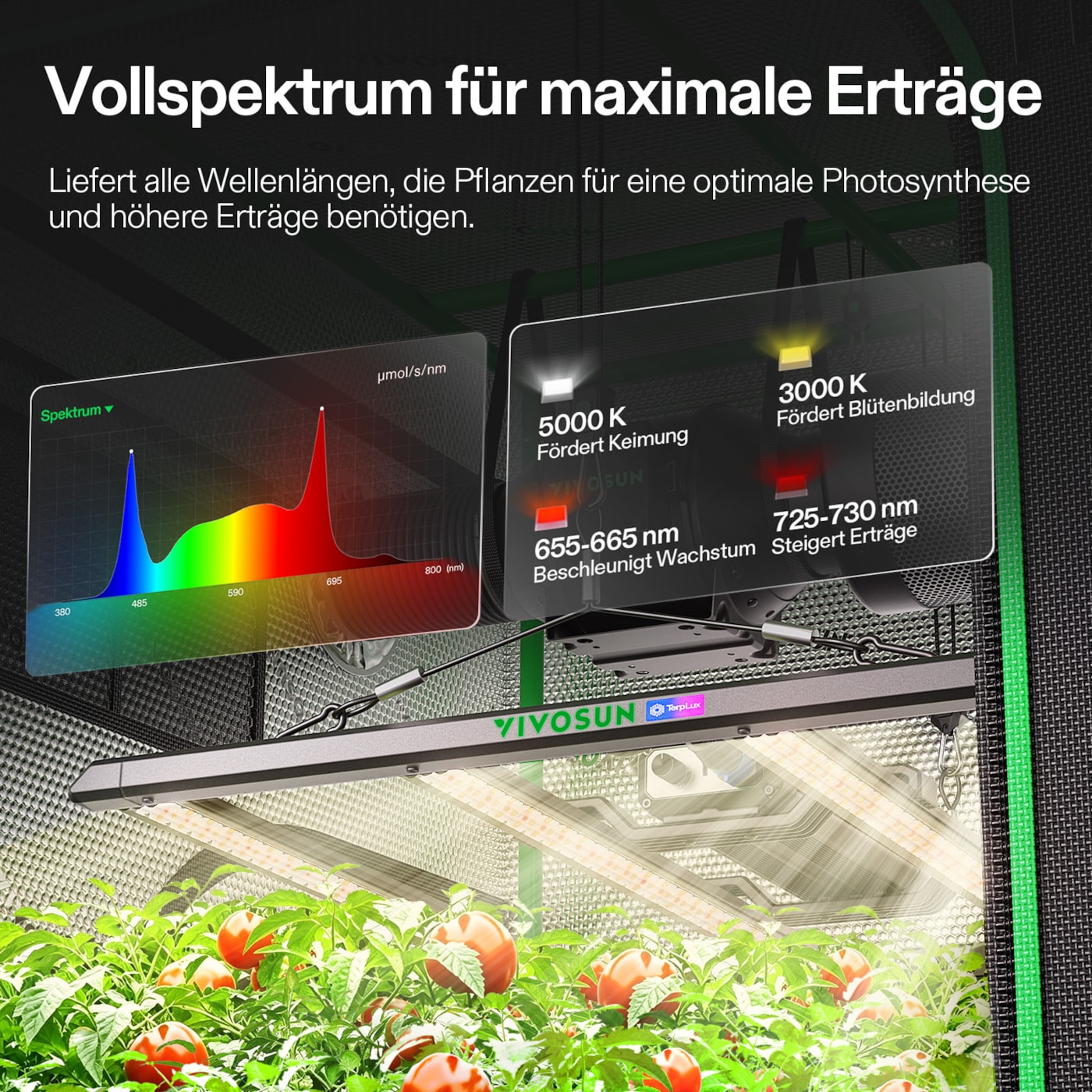 VIVOSUN Smart Growbox Komplettset 100x100x180 cm mit LumaLight 320W und GrowHub E42A+
