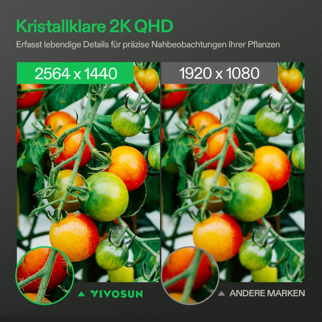 VIVOSUN smarte Grow Kamera C4 mit 2K QHD WLAN