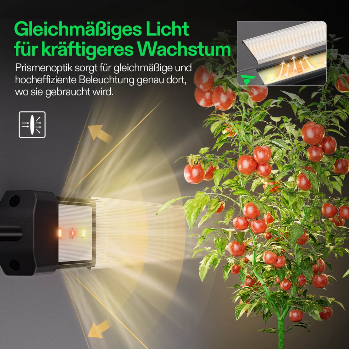 VIVOSUN LumaRay 4-Balken LED Zusatzlicht