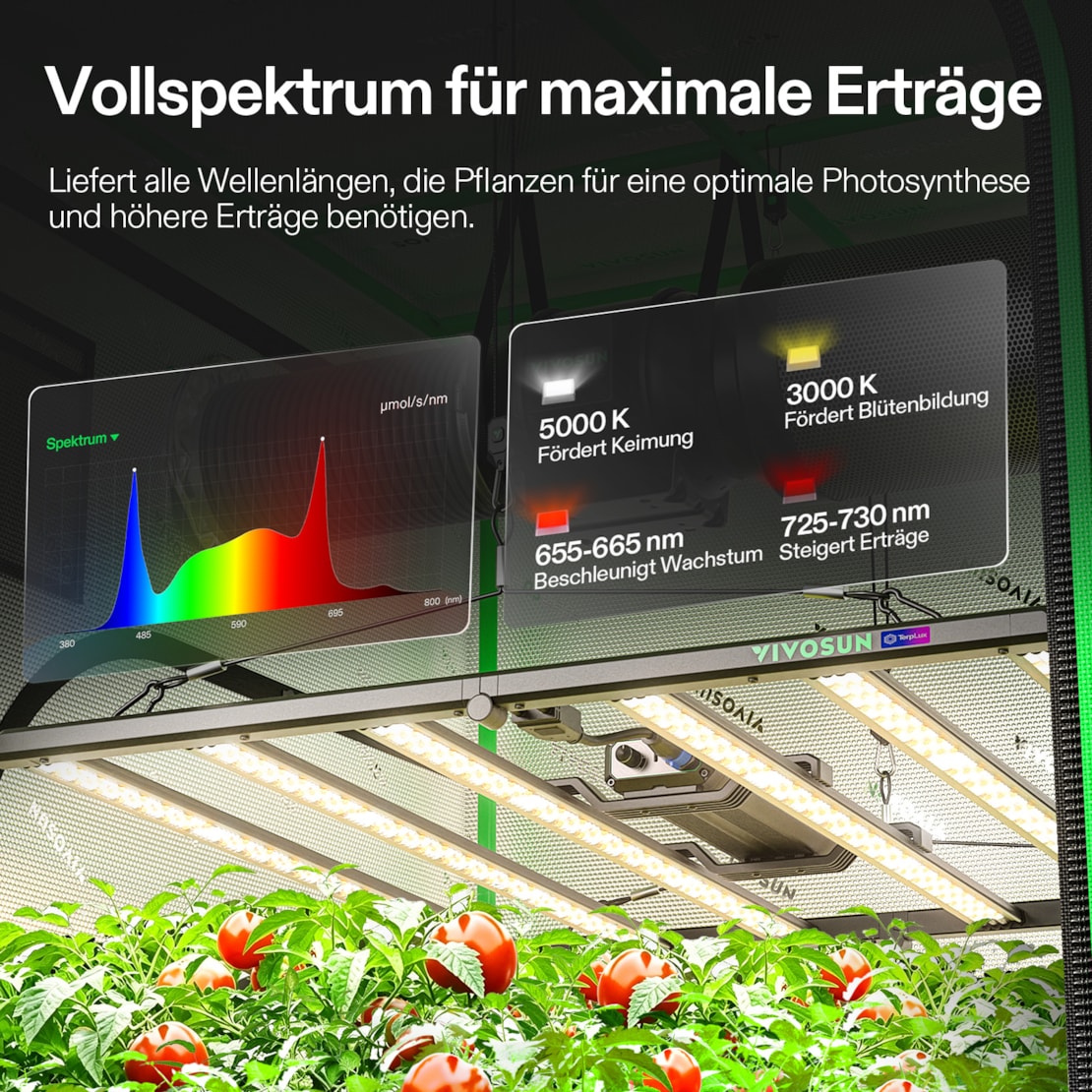 VIVOSUN Smart Growbox Komplettset 120x120x200 cm mit LumaLight 500W und GrowHub E42A+