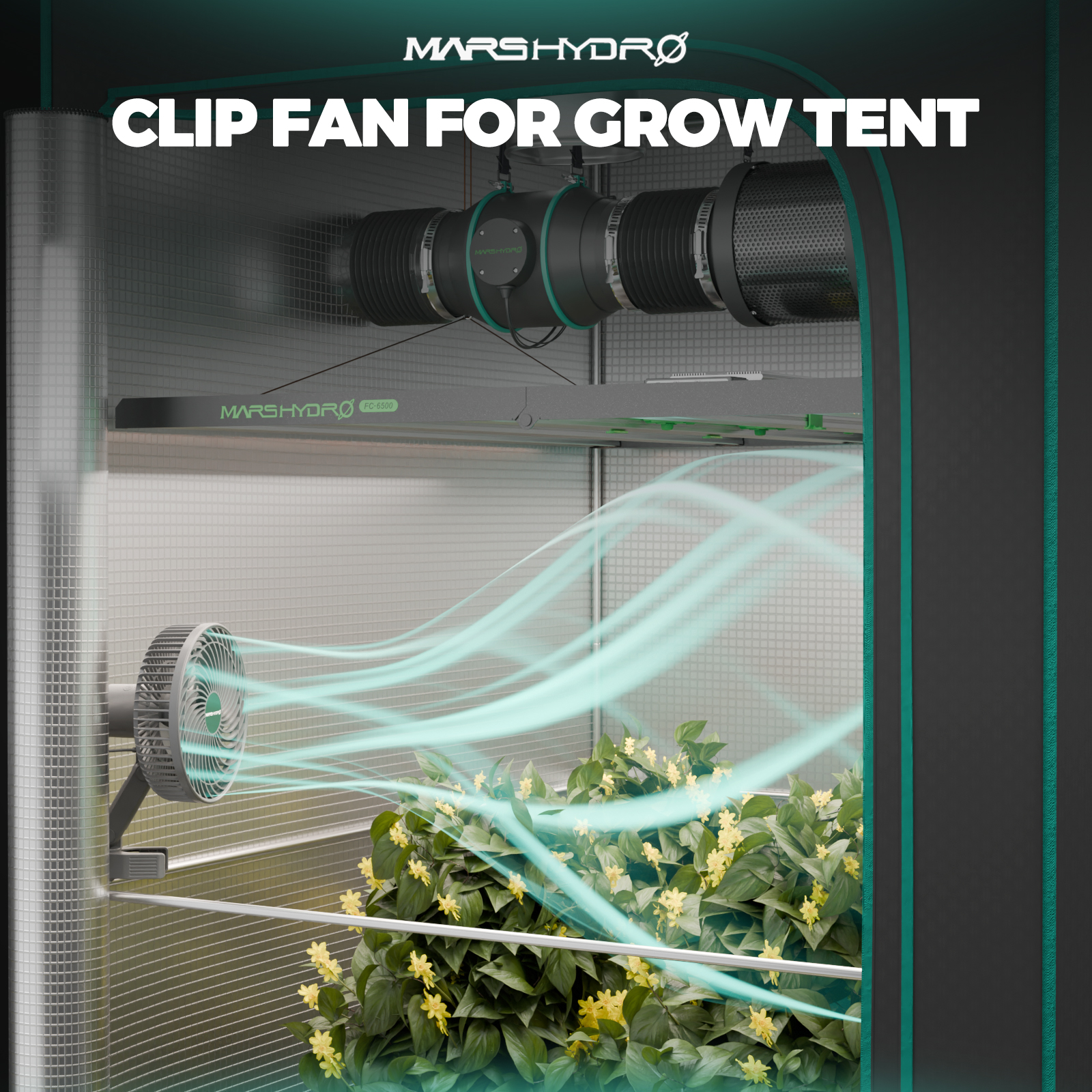 Mars Hydro TS600 Growbox Komplettset 100W LED 60x60x140 cm