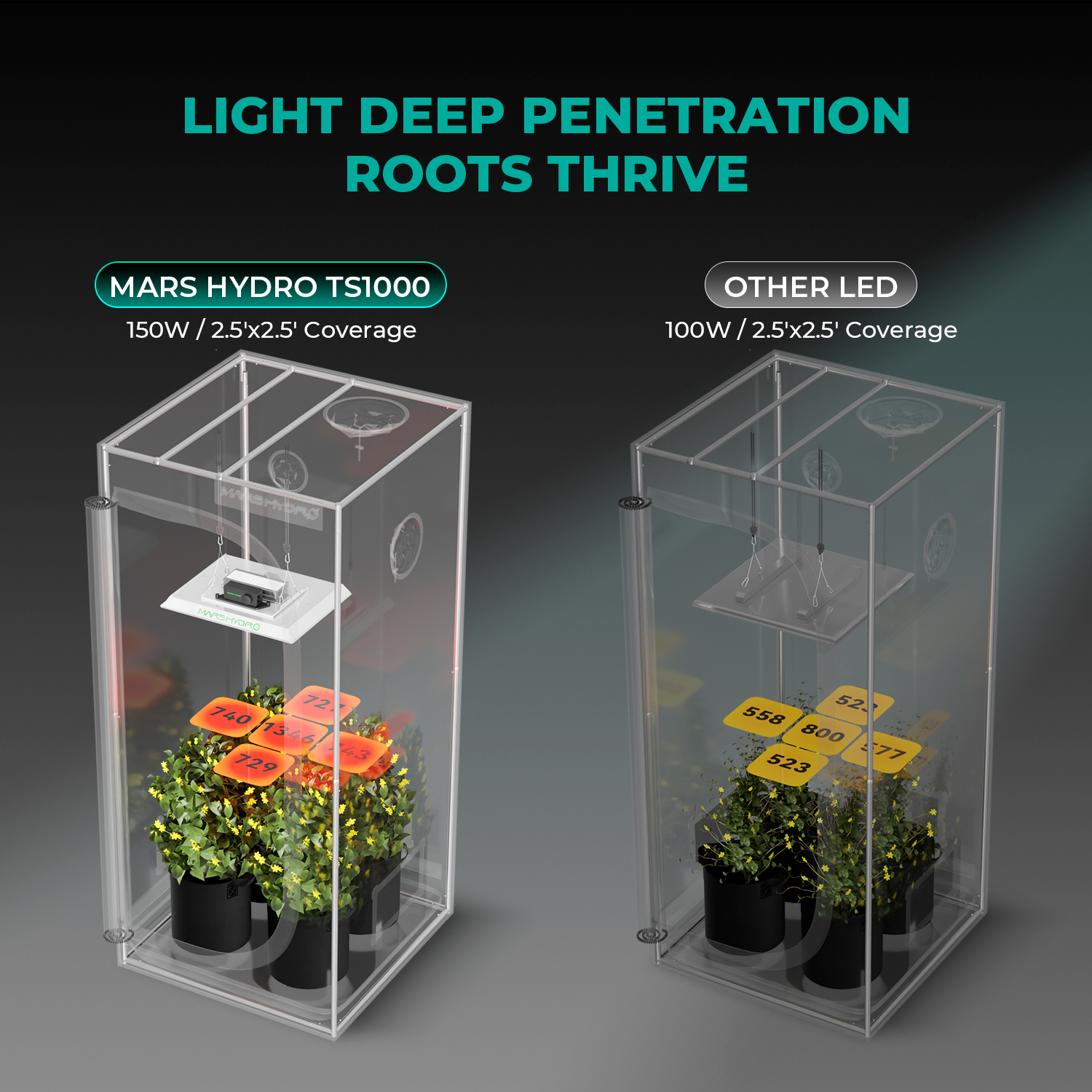 Mars Hydro TS1000 Growbox Komplettset 150W LED 80x80x160 cm