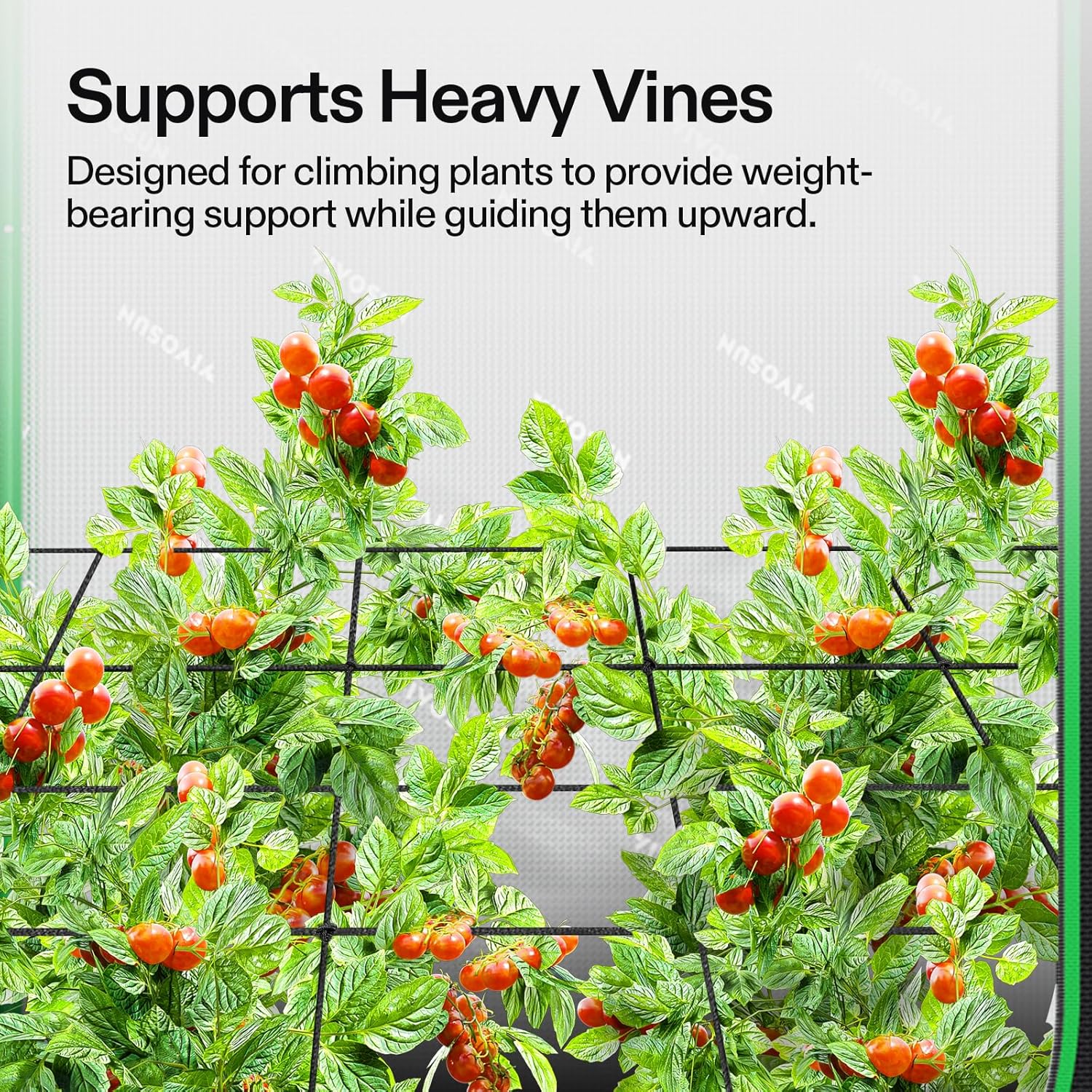 VIVOSUN Trellis Netz 60x120 cm mit 4 Haken