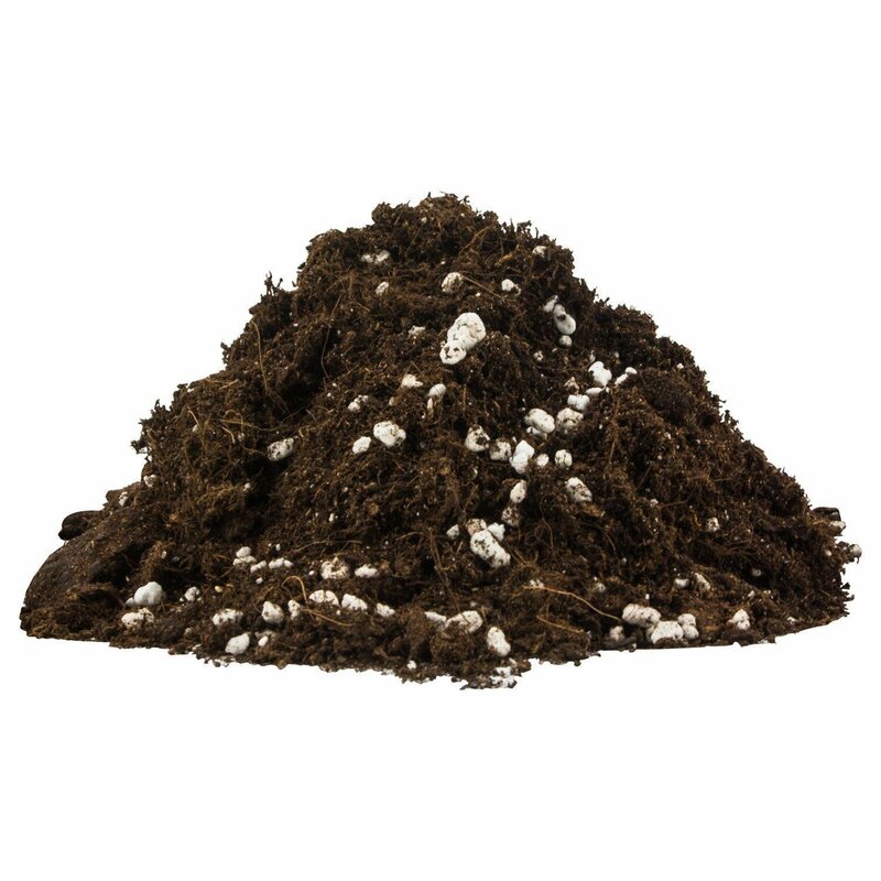 plagron-light-mix-mit-perlite-liter~2