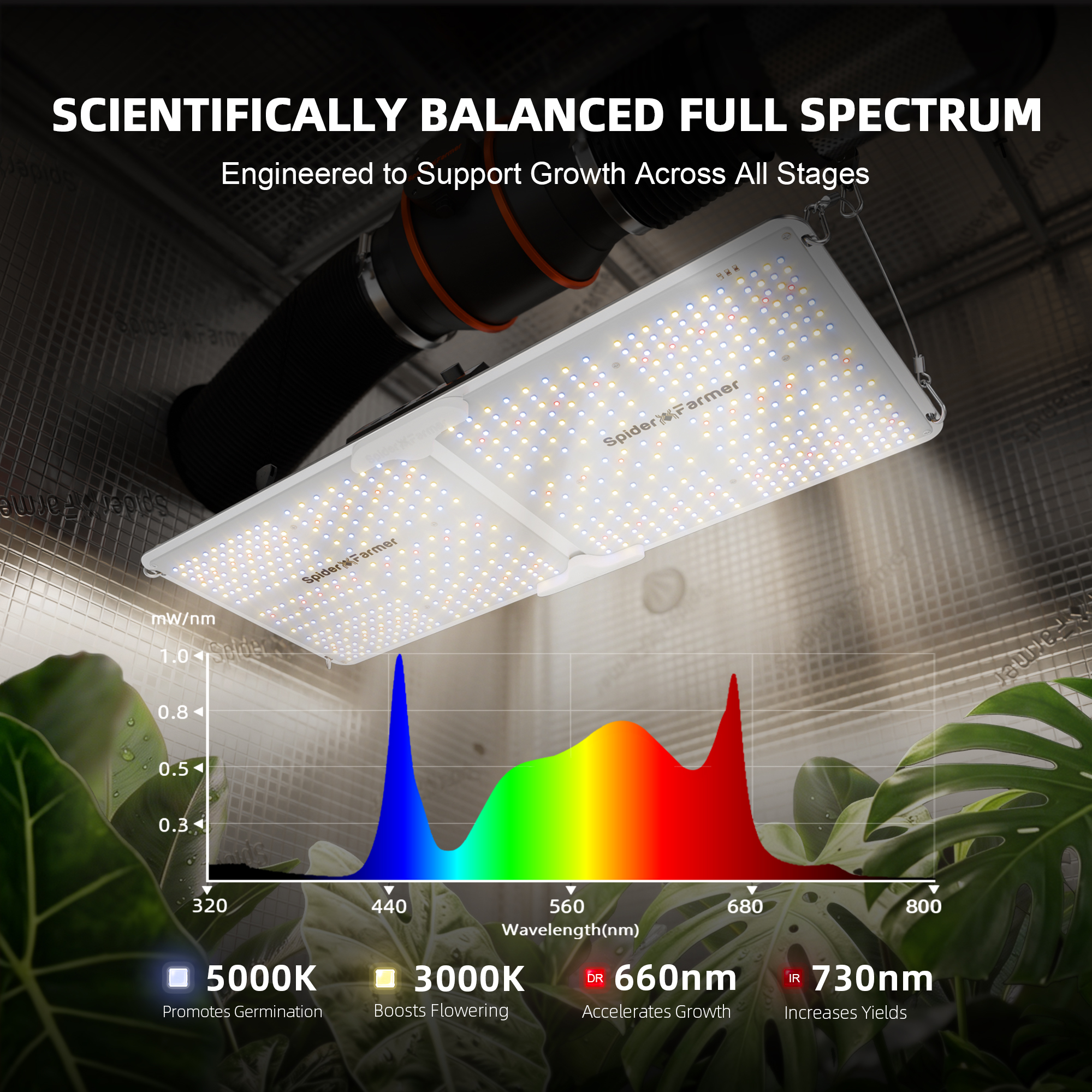 Spider Farmer SF2000 LED 200 Watt