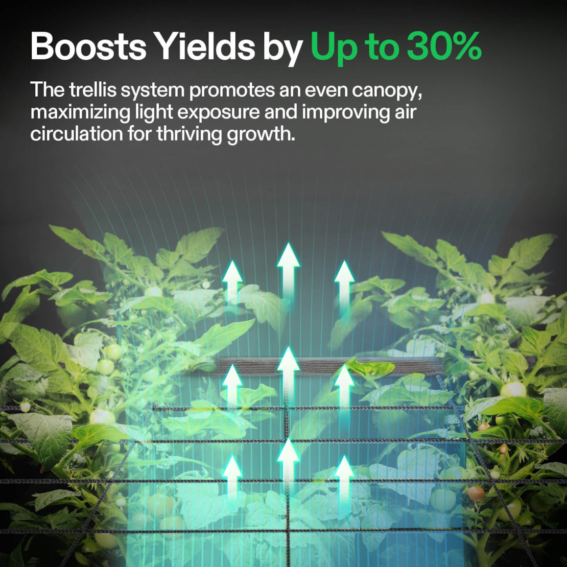 VIVOSUN Trellis-Netz 30×30 cm für die VGrow Smart Growbox