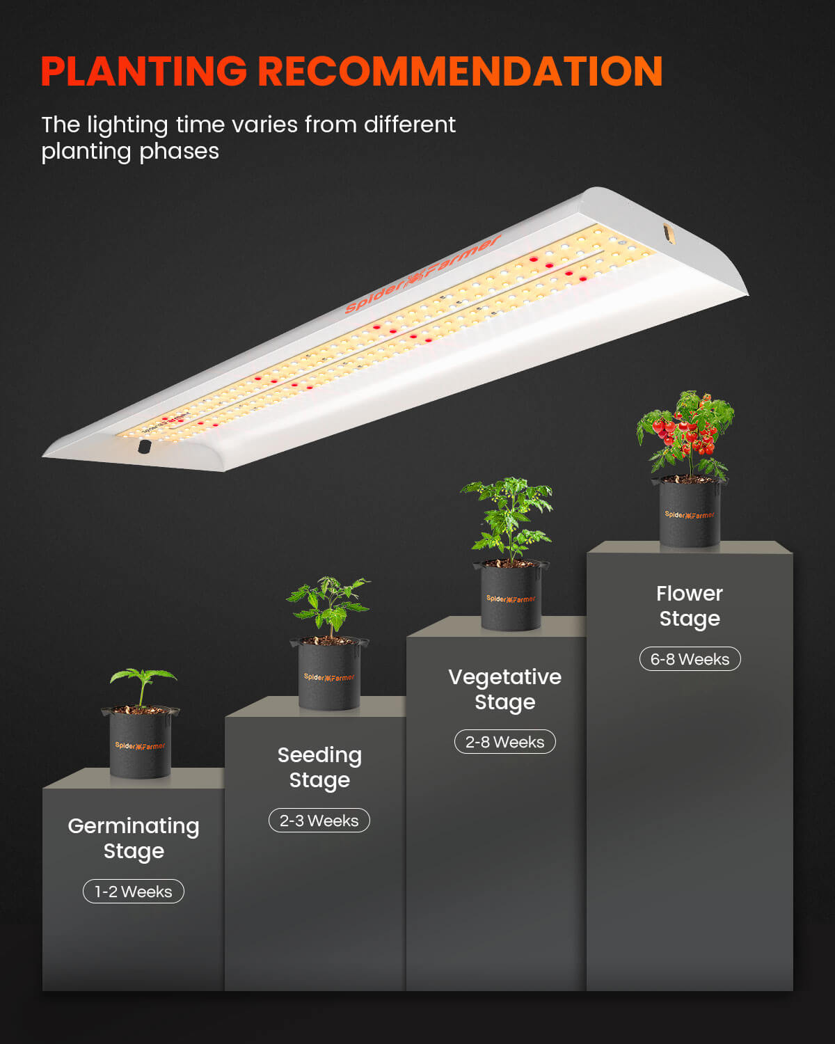 Spider-Farmer-SF300-LED-4
