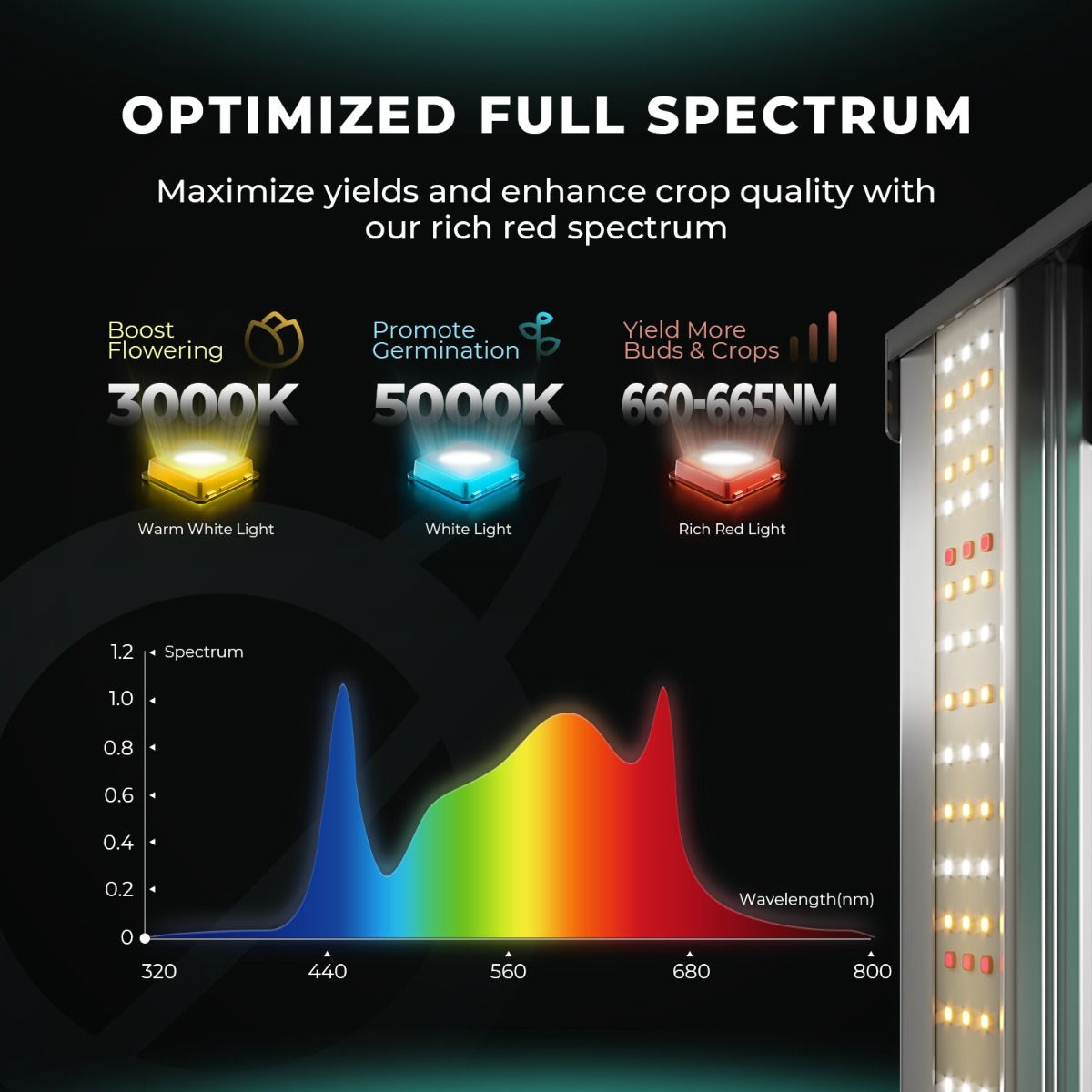 Mars Hydro FC 1500 EVO Growbox Komplettset 150W LED 80x80x160 cm
