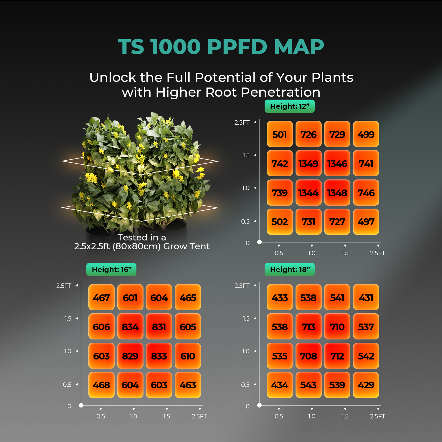 Mars Hydro TS1000 Growbox Komplettset 150W LED 80x80x160 cm