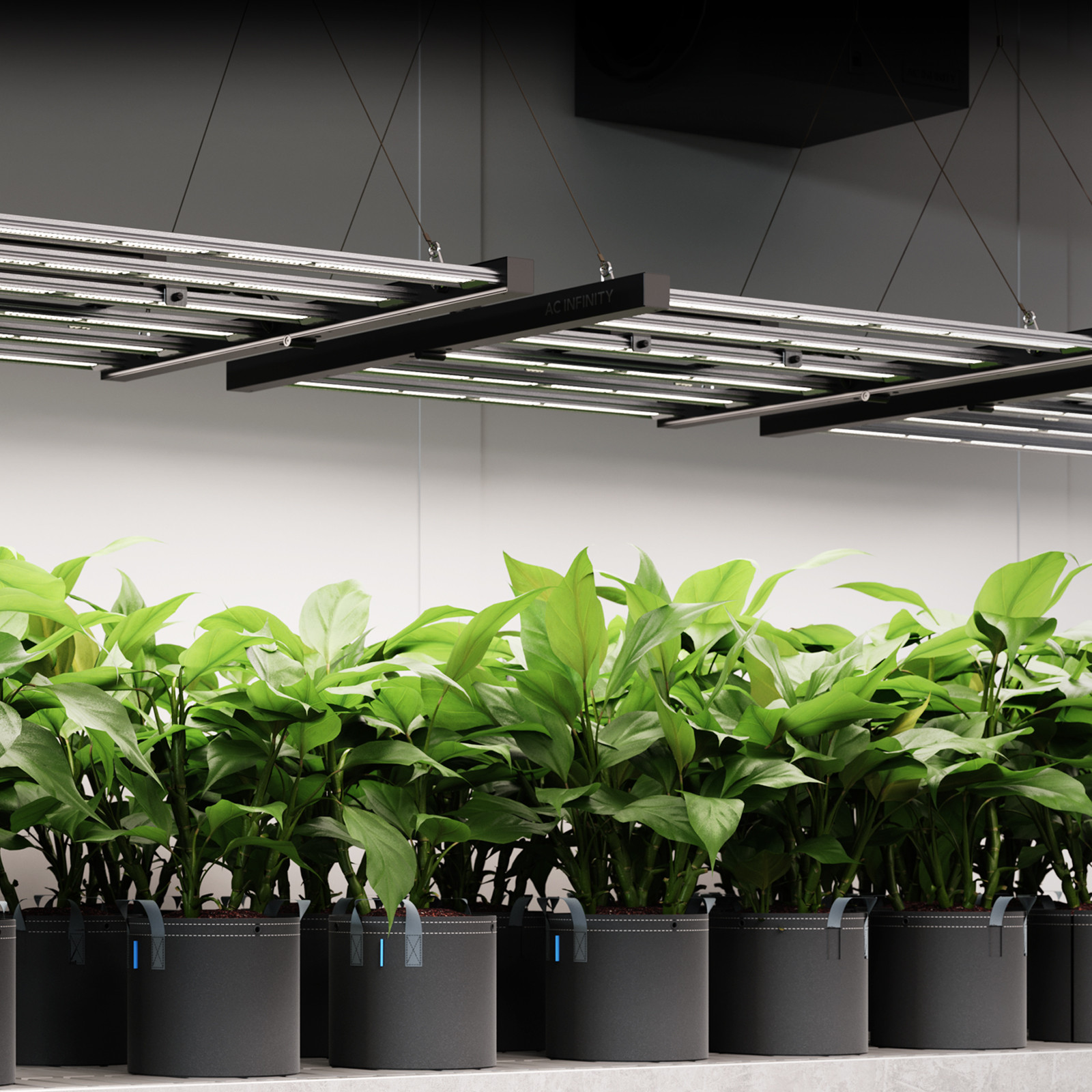 AC Infinity IONFRAME EVO10 LED Grow Light 1000W