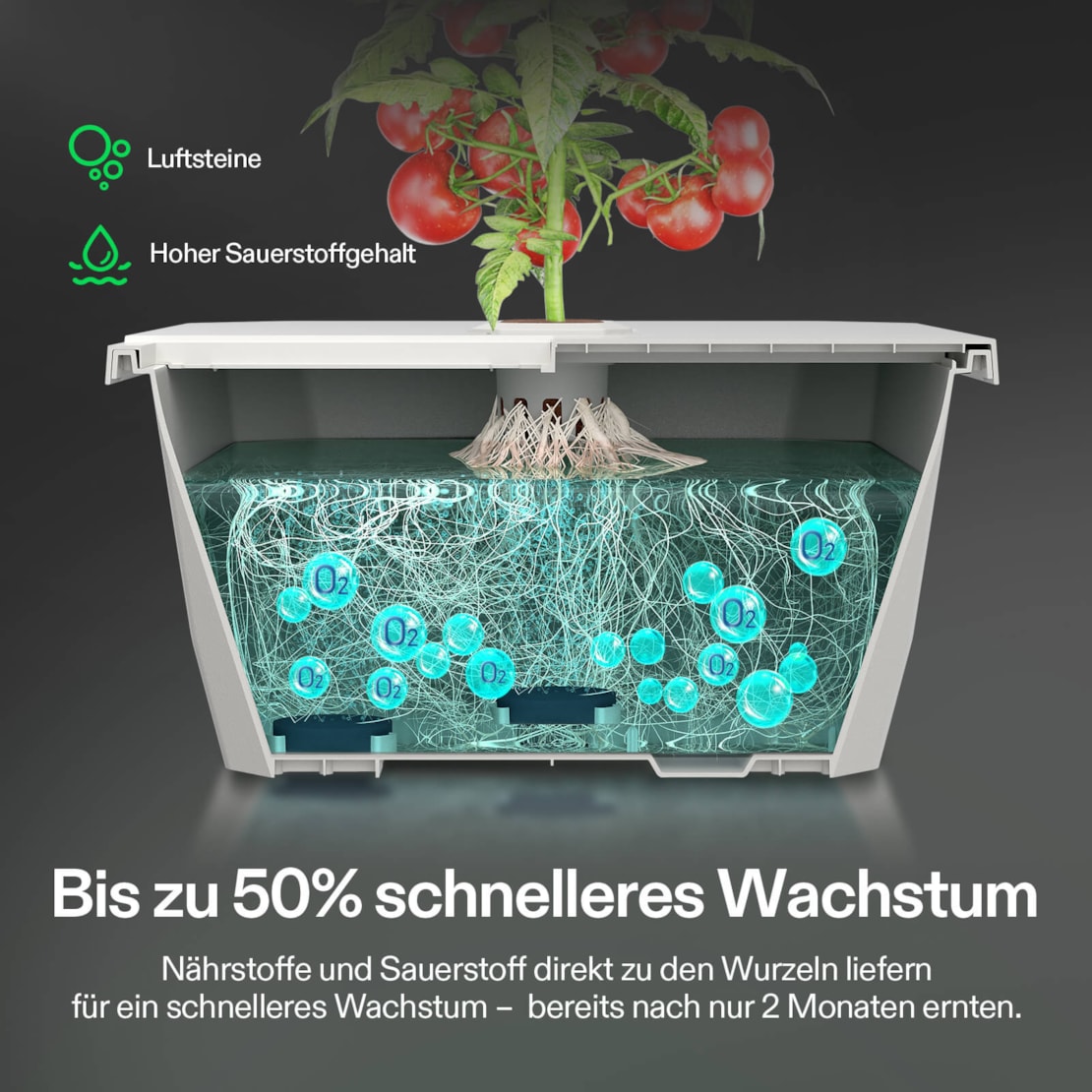 VIVOSUN VGrow DWC Hydroponisches Anzuchtsystem 15 L