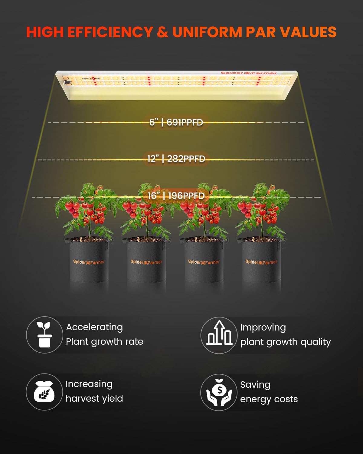 Spider-Farmer-SF300-LED-3