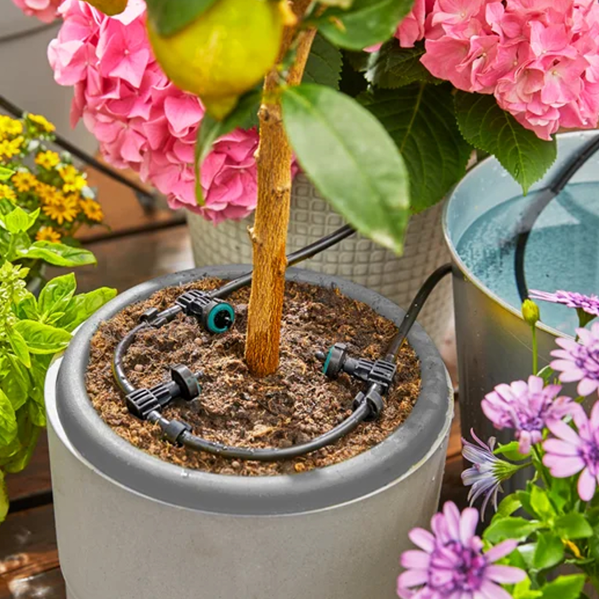 Anwendung des Gardena Solar-Bewässerung AquaBloom Sets GA220-0257 im bepflanzten Balkonkasten