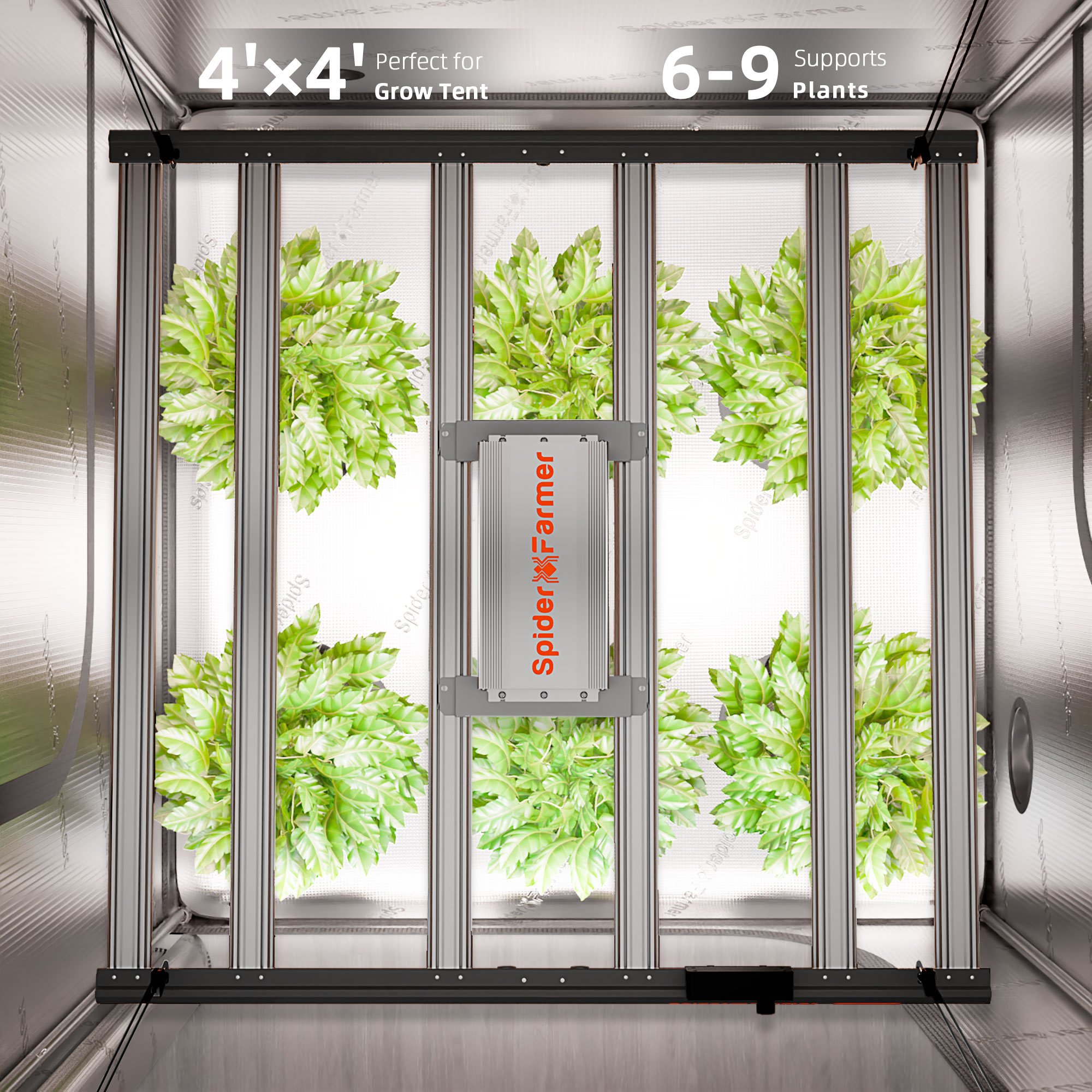 Spider Farmer Komplettset 120×120×200 cm G5000 mit GGS Controller