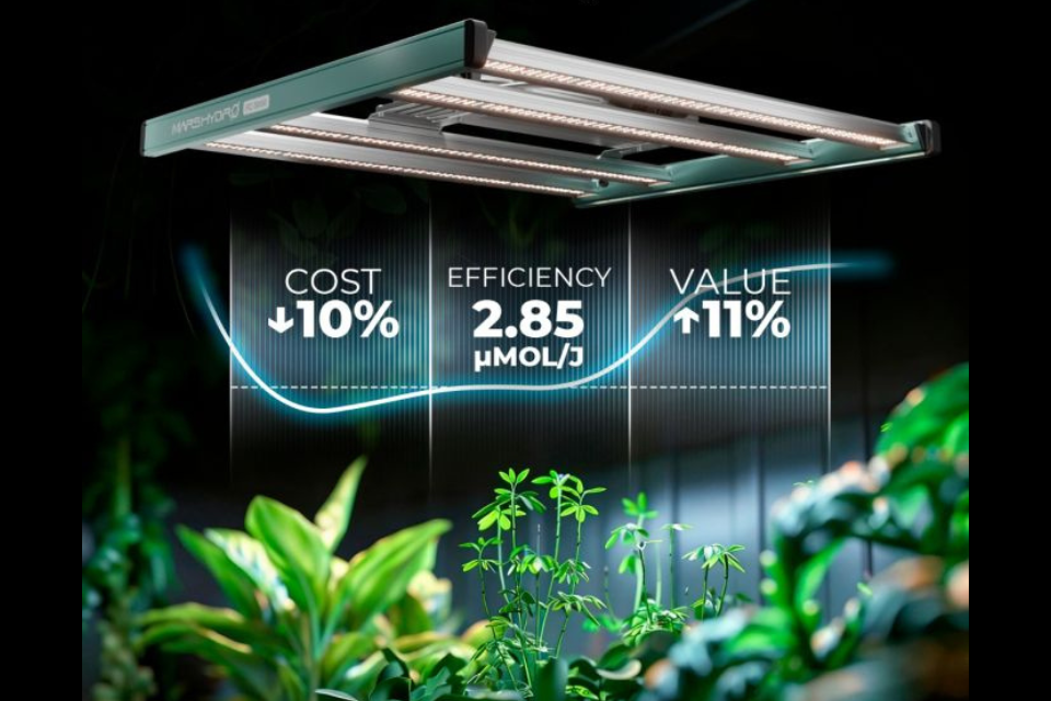 Mars Hydro FC 3000 Growbox Komplettset 300W LED 100x100x180 cm