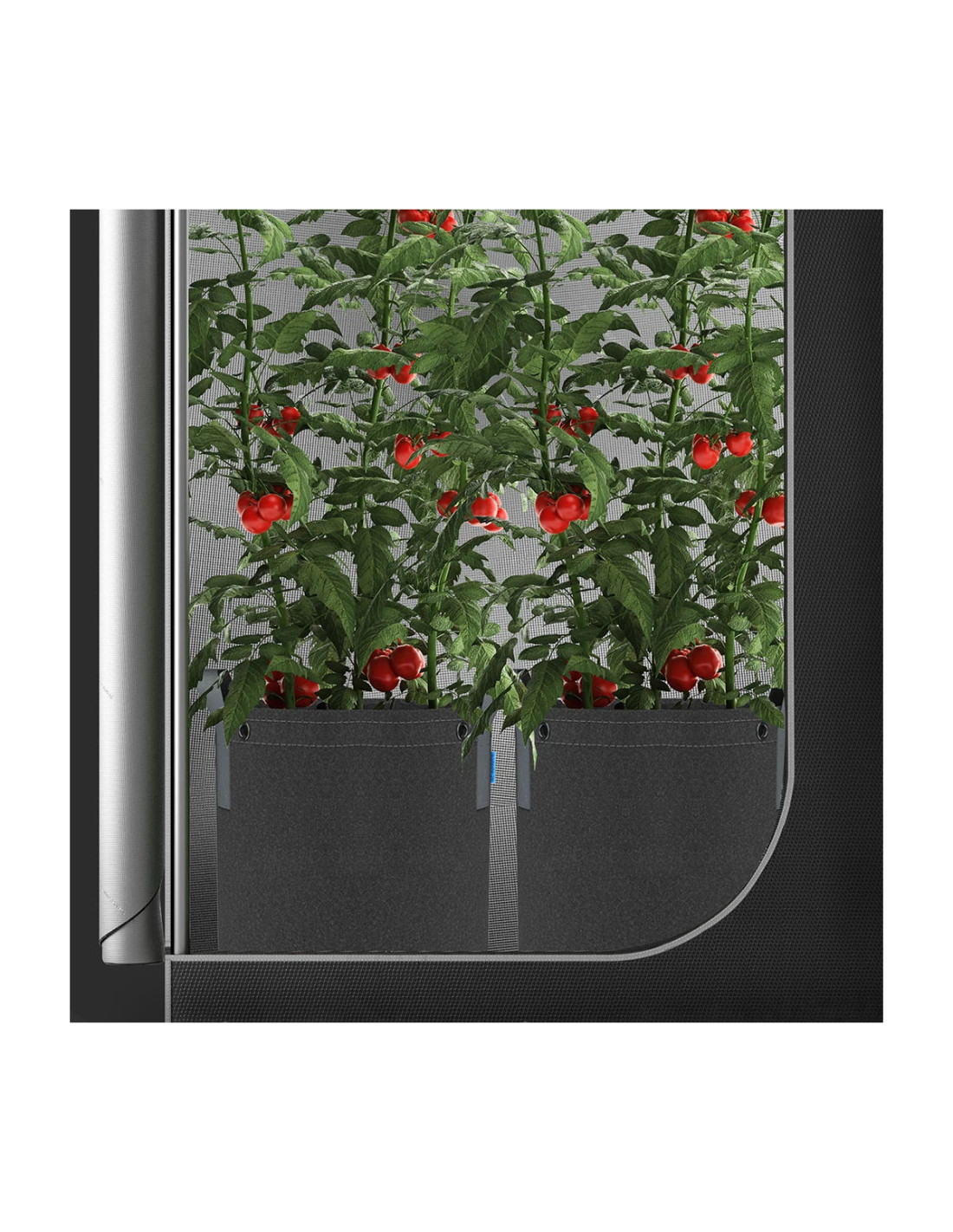 ac-infinity-stofftoepfe-11L-005