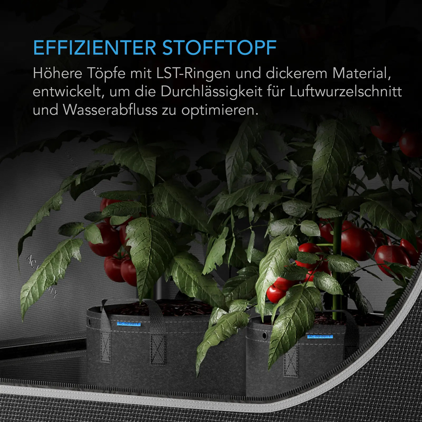AC Infinity Stofftöpfe mit Tomatenpflanzen im Growzelt für eine gute Wurzelbelüftung und einen verbesserten Wasserablauf