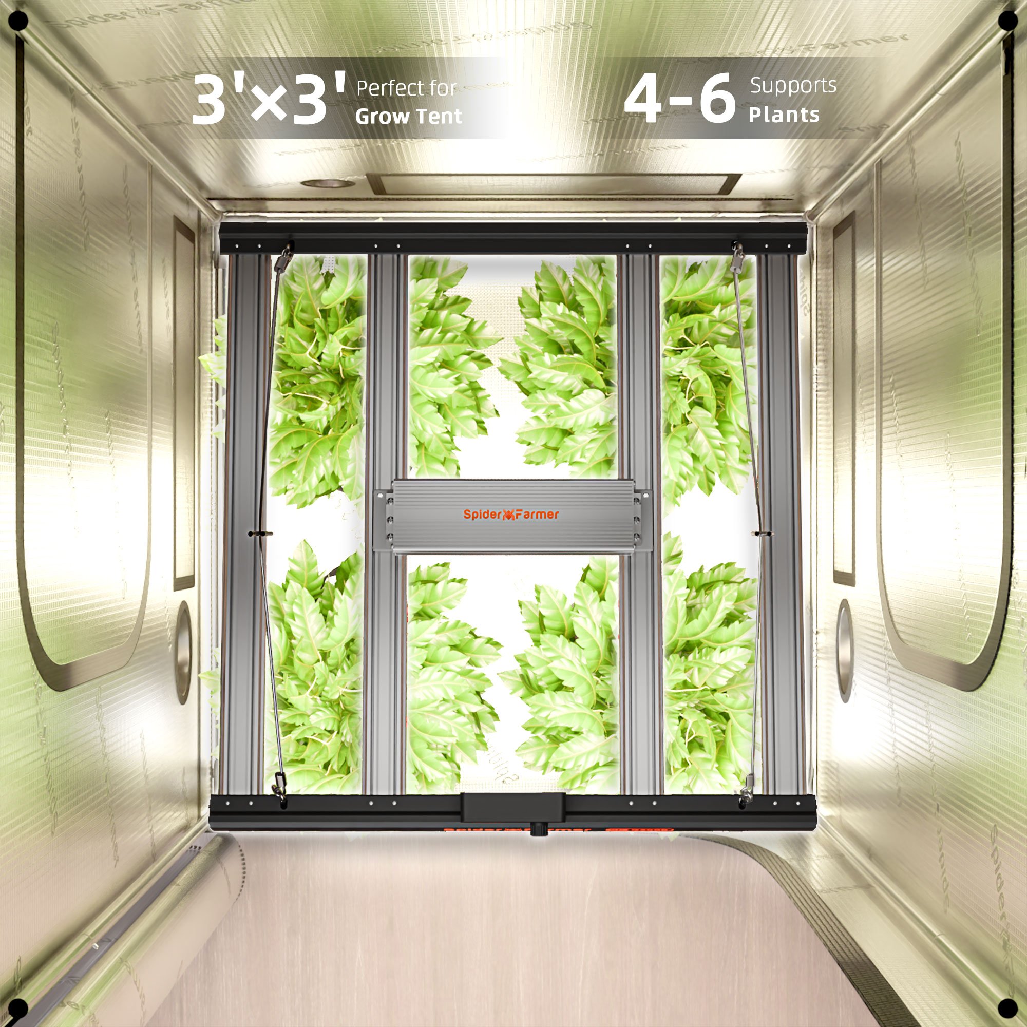 Spider Farmer G3000 LED 300 Watt